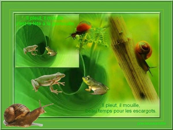Trois escargots