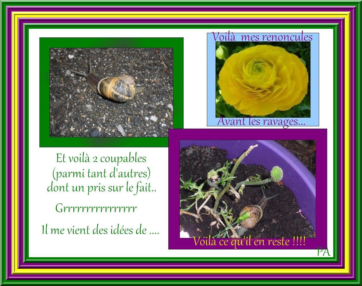 Trois escargots